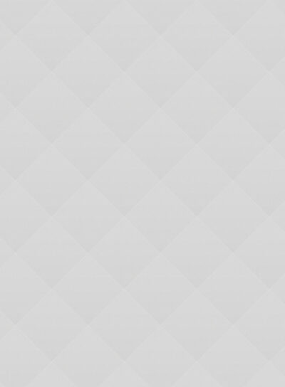 Petrochemical Industry